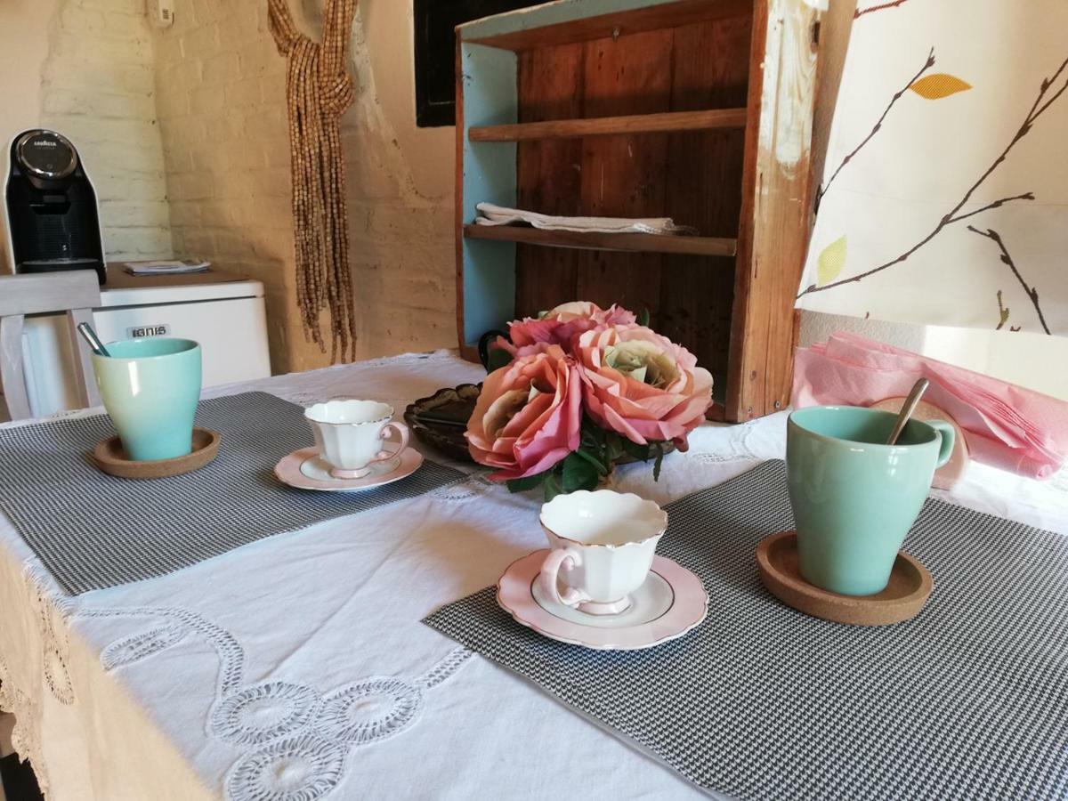 Bed And Breakfast Aurora 사르자나 외부 사진